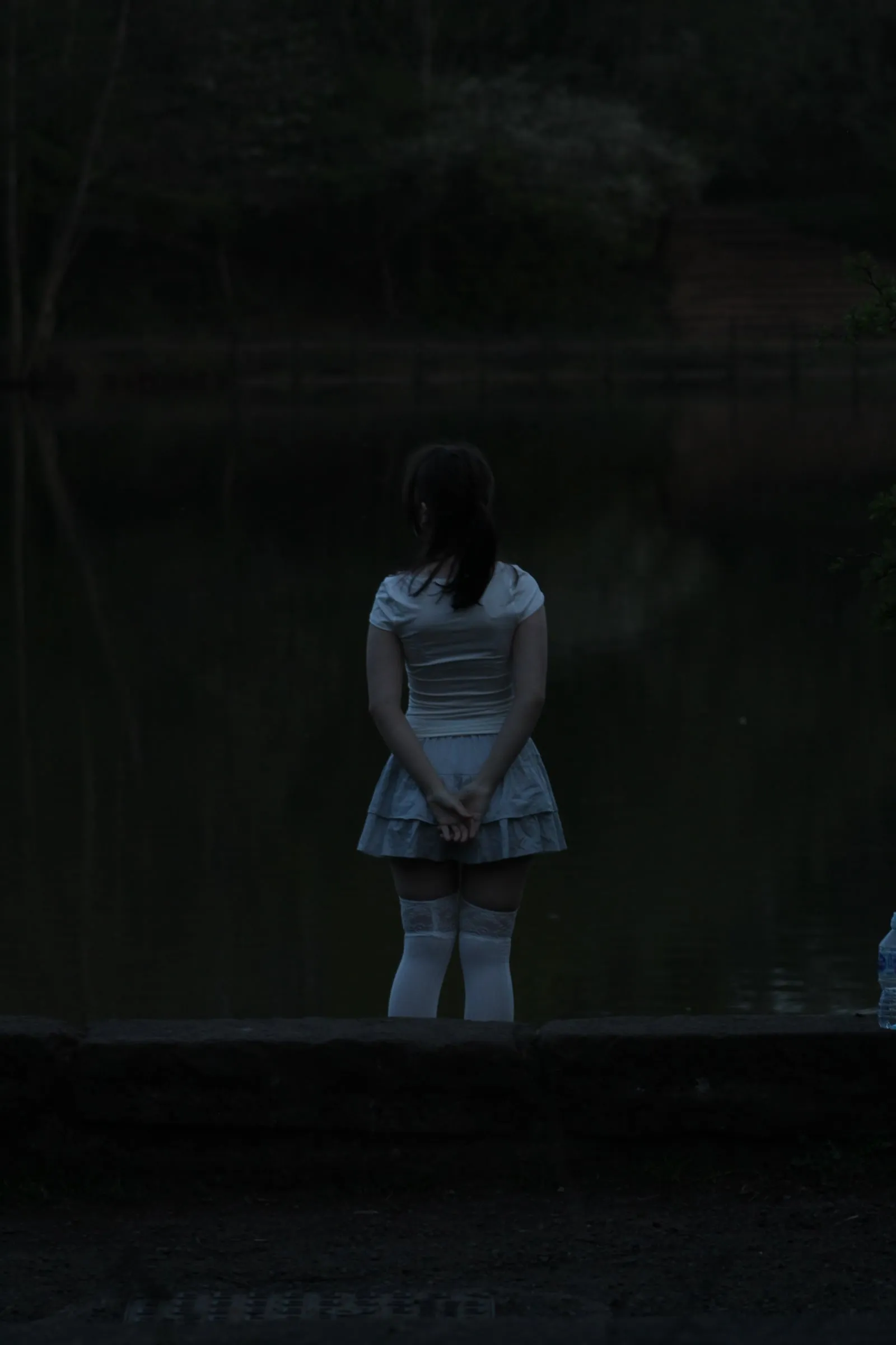 A small figure in a pale dress stands with her back to the camera at the edge of a dark lake.